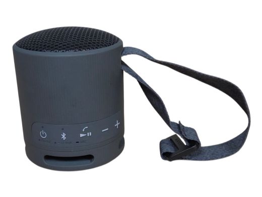 Sony Srs-Xb100