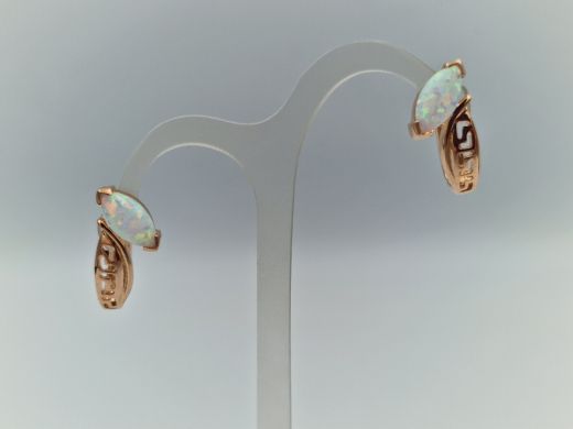 Zelta auskari, 4.86 g