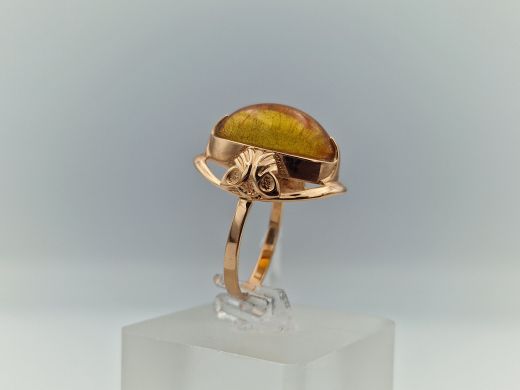 Zelta gredzens ar dzintaru, 5.17 g, izm. 17.5