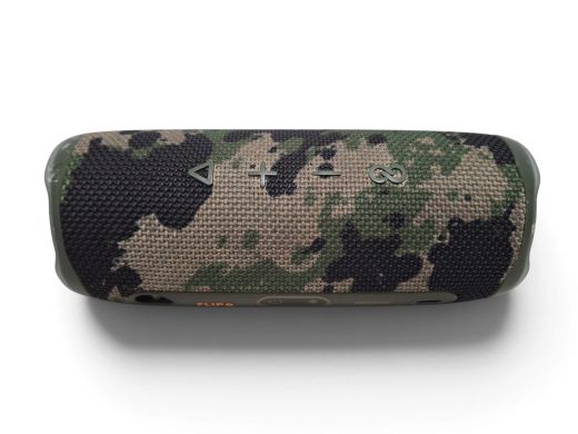 JBL Flip 6