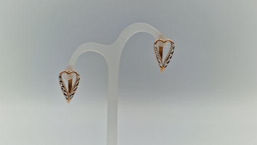 Zelta auskari, 2.54 g