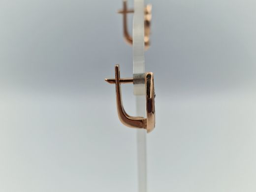 Zelta auskari ar cirkoniju, 3.79 g