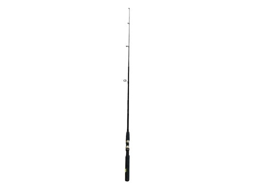 Daiwa Regal Spin