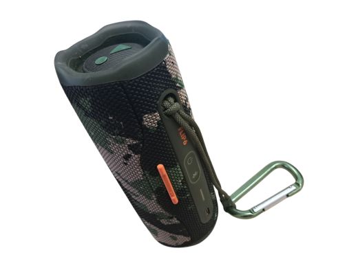 JBL Flip 6