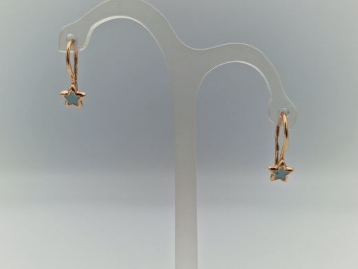 Zelta auskari, 0.95 g