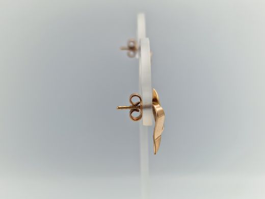 Zelta auskari, 2.72 g