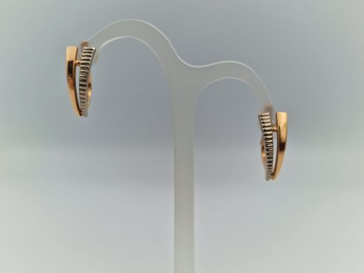 Zelta auskari, 3.85 g