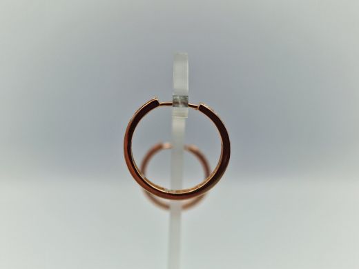 Zelta auskari ar cirkoniju, 2.59 g