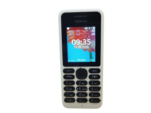 Nokia 100