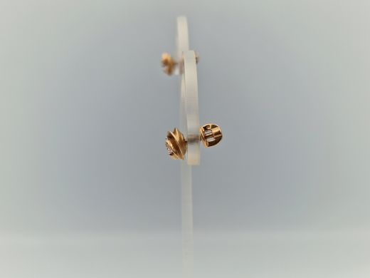 Zelta auskari, 2.69 g