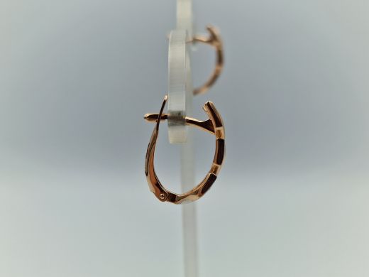 Zelta auskari ar cirkoniju, 3.16 g