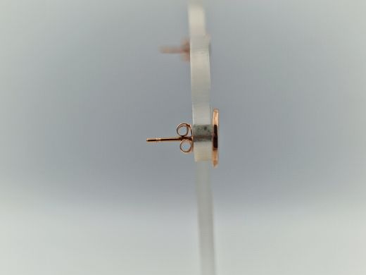 Zelta auskari, 0.87 g