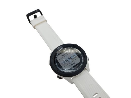 Garmin Approach S12