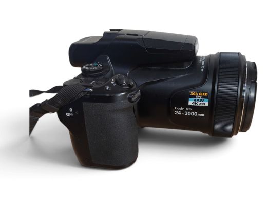 Nikon P1000