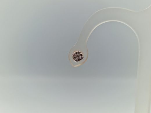 Zelta auskari, 1.59 g