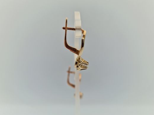 Zelta auskari ar cirkoniju, 5.17 g