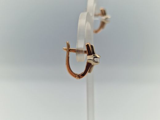 Zelta auskari ar cirkoniju, 2.57 g