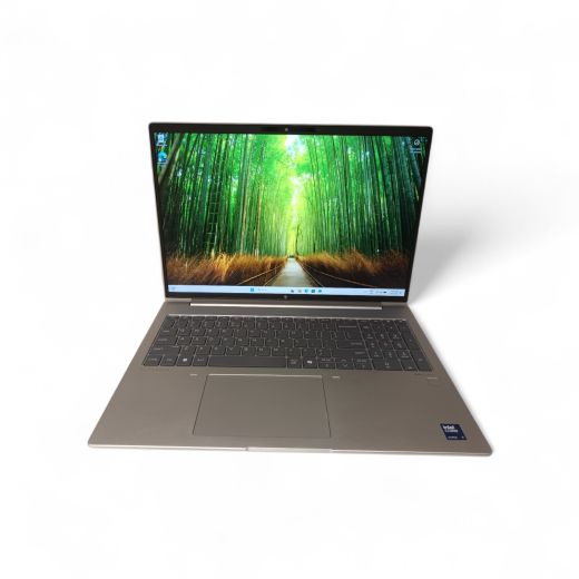HP EliteBook 660 G11 512 Gb