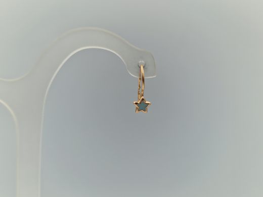 Zelta auskari, 0.95 g