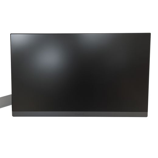 LG UltraGear 24GS50F 