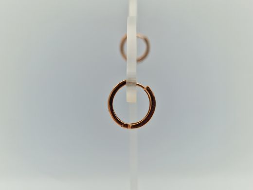 Zelta auskari ar cirkoniju, 2.33 g