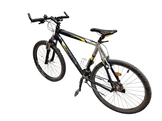 Batavus Am 300