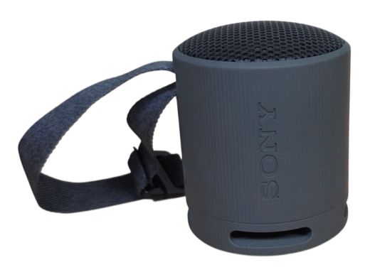 Sony Srs-Xb100