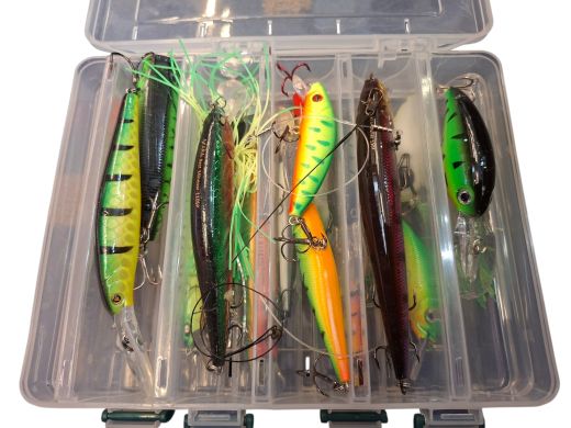 Fish2Fish Fire Horse 270 