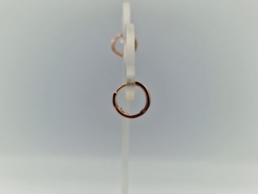 Zelta auskari ar cirkoniju, 2.39 g