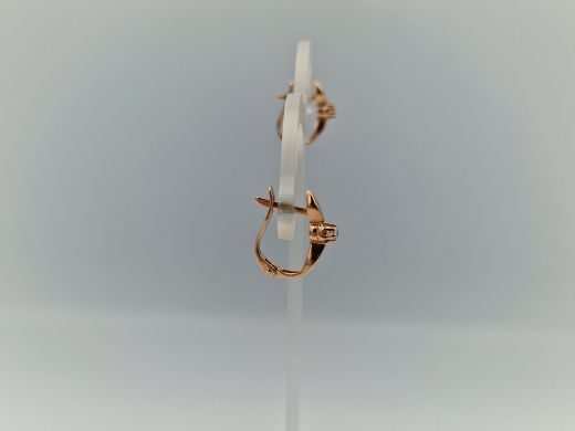 Zelta auskari ar cirkoniju, 2.62 g