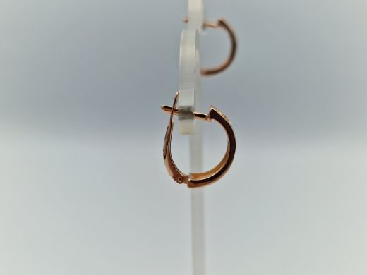 Zelta auskari, 3.07 g