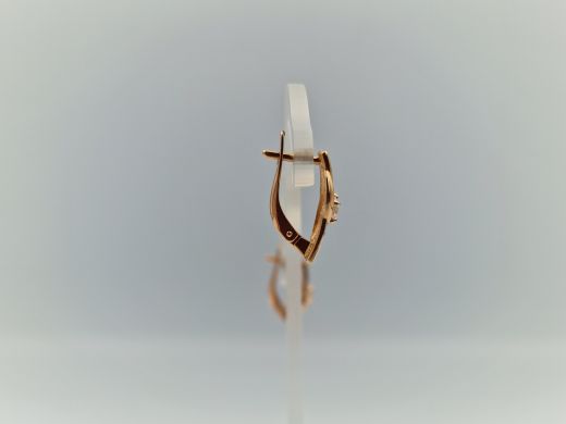 Zelta auskari, 2.55 g