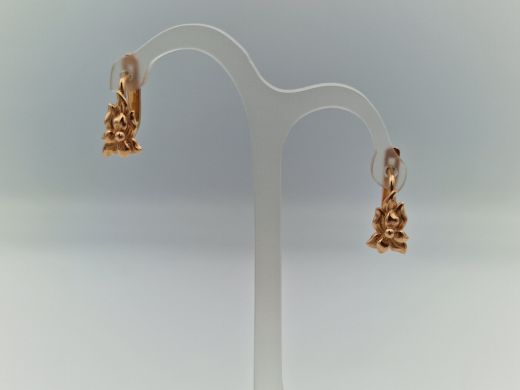 Zelta auskari, 2.53 g