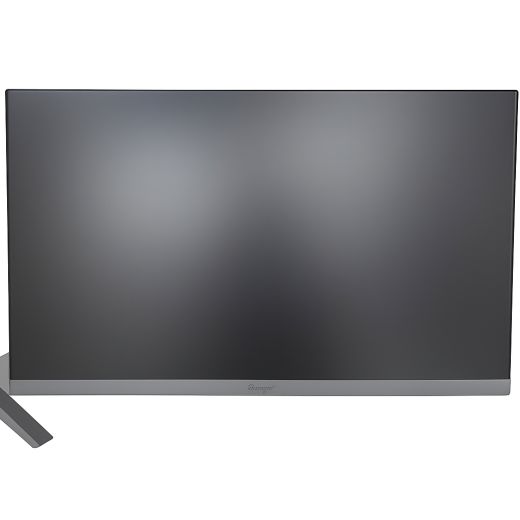 LG UltraGear 24GS50F 