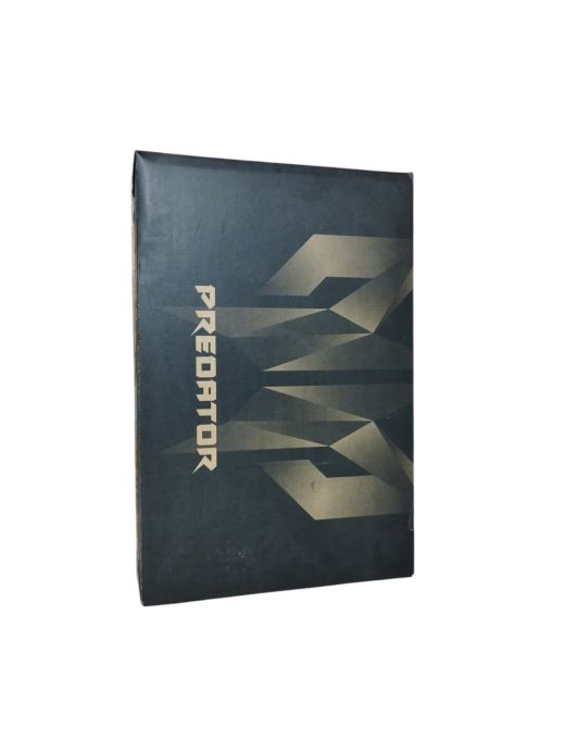 Acer Predator Helios 300 1000 gb