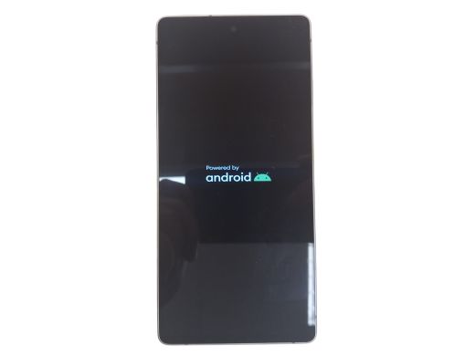 Samsung Galaxy S25 Ultra 256 gb