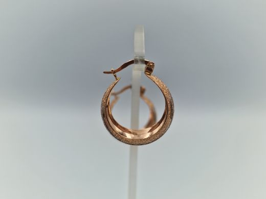 Zelta auskari, 4.73 g