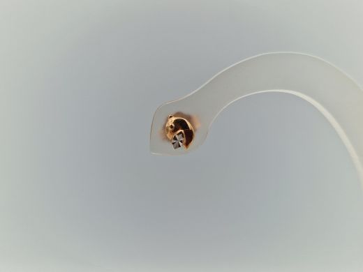 Zelta auskari, 0.74 g