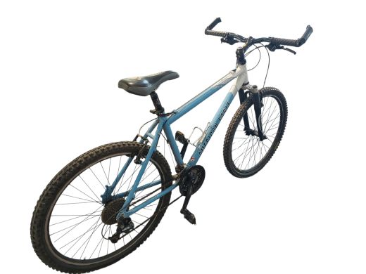 American Eagle Death Valley