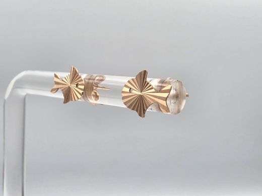 Zelta auskari, 0.69 g