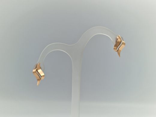 Zelta auskari, 2.72 g